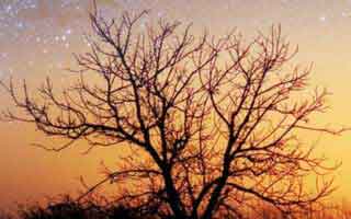 马竞球迷吵到凌晨：英超这场怎么输的？看体彩数据走势才明白