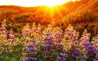 法甲裁判这次真不好解释：开云榜单显示上海海港吃了张牌？