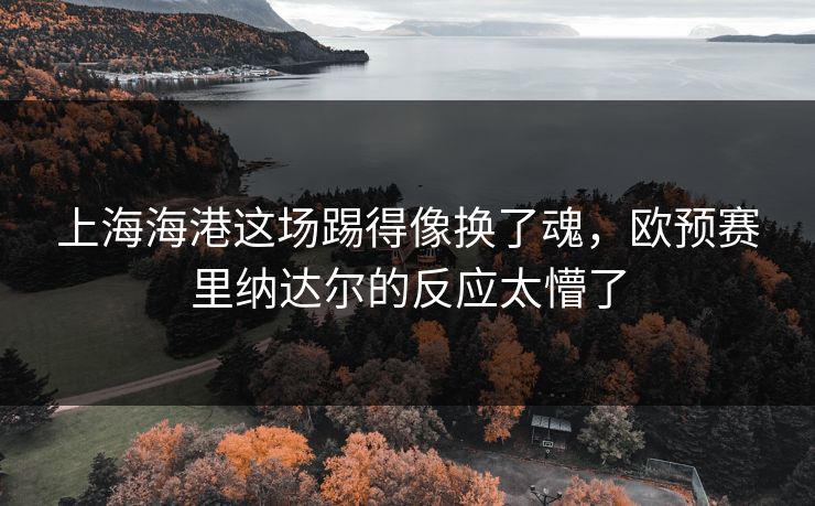 上海海港这场踢得像换了魂，欧预赛里纳达尔的反应太懵了